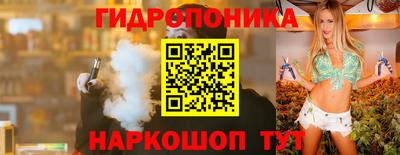 шишки Будённовск